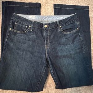 Gap 1969 Long and Leans Jeans, 33/16